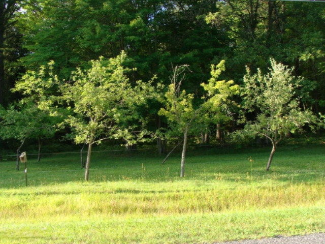 2120 West Prairie Road Midland, MI 48640 - Photo 32 of 45 DSC03417