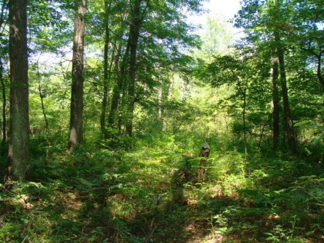 2120 West Prairie Road Midland, MI 48640 - Photo 36 of 45 DSC03431