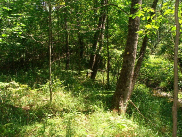 2120 West Prairie Road Midland, MI 48640 - Photo 38 of 45 DSC03433