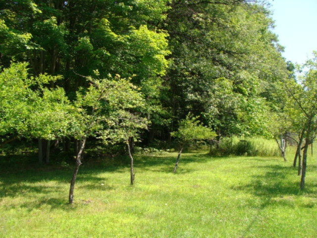 2120 West Prairie Road Midland, MI 48640 - Photo 41 of 45 DSC03425