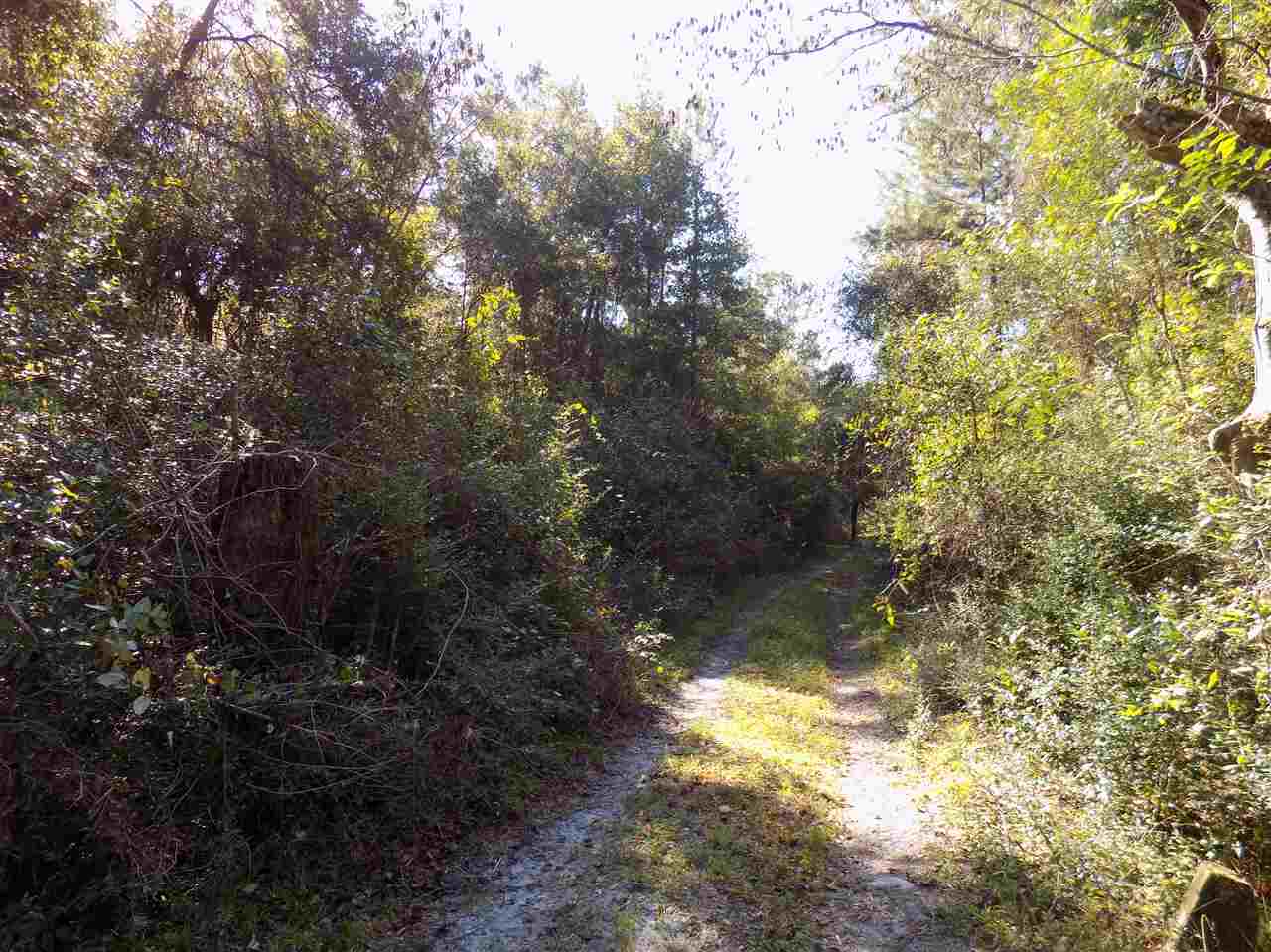 Xxx Mt Zion Road Crawfordville, FL 32327 - Photo 12 of 16