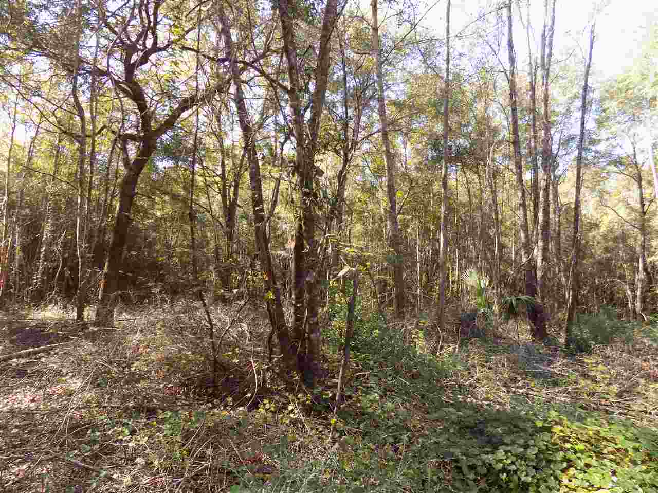 Xxx Mt Zion Road Crawfordville, FL 32327 - Photo 3 of 16