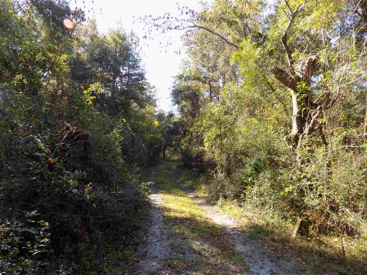 Xxx Mt Zion Road Crawfordville, FL 32327 - Photo 4 of 16
