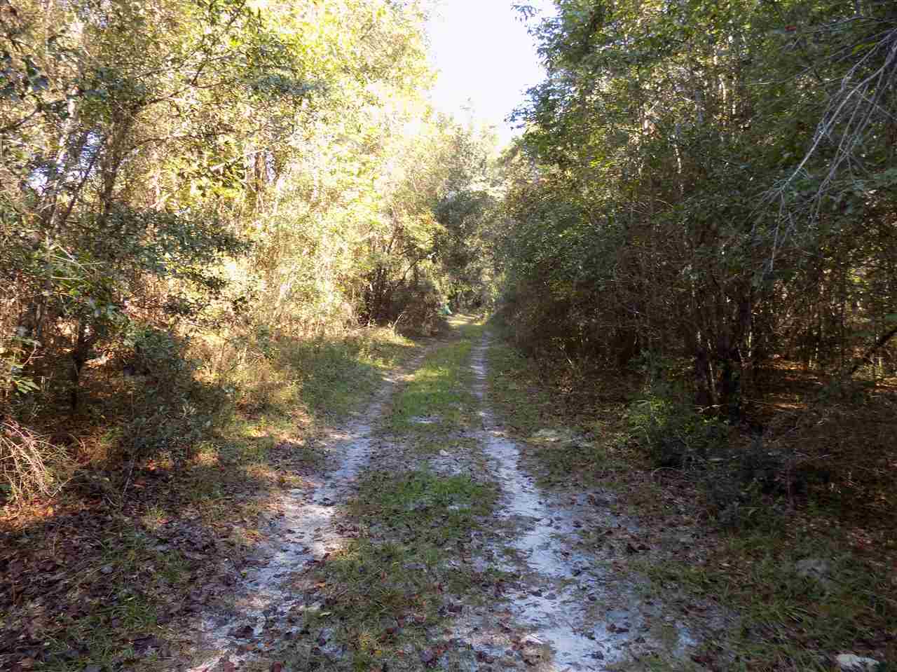 Xxx Mt Zion Road Crawfordville, FL 32327 - Photo 6 of 16