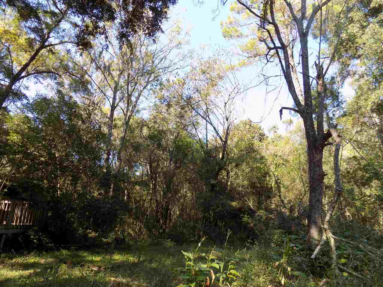 Xxx Mt Zion Road Crawfordville, FL 32327 - Photo 8 of 16
