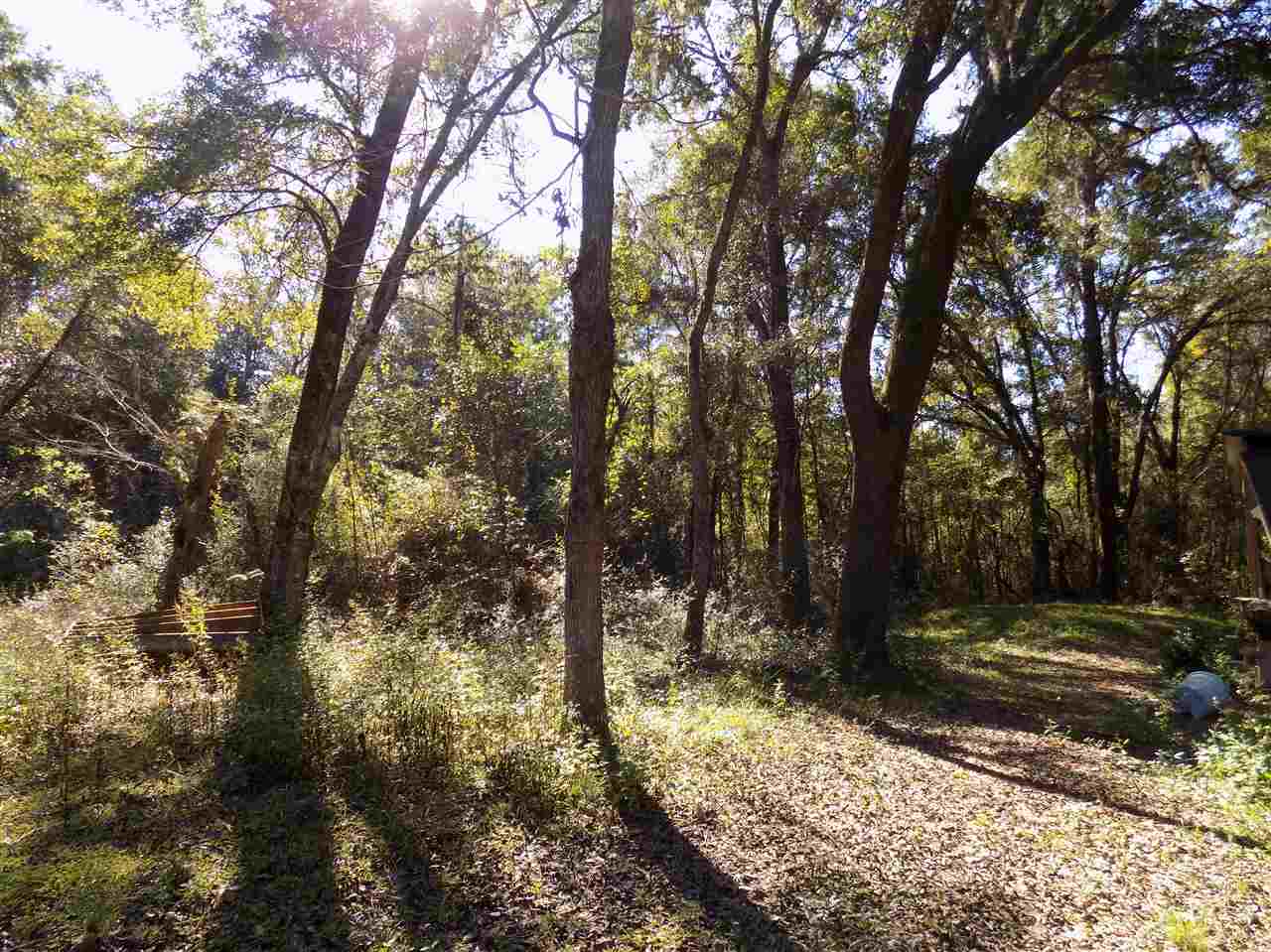 Xxx Mt Zion Road Crawfordville, FL 32327 - Photo 10 of 16