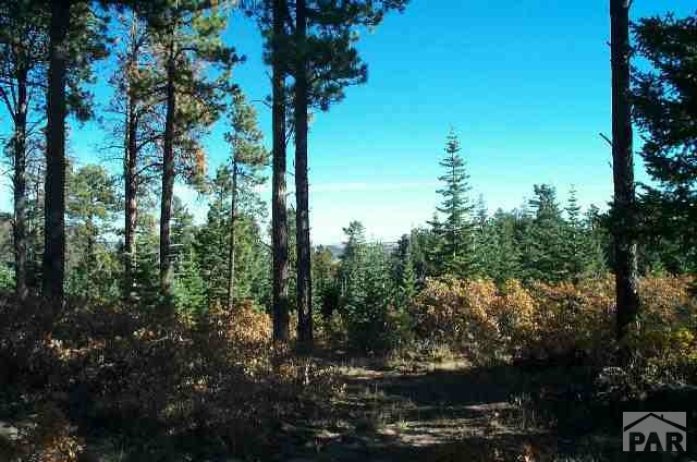 Bartlett Trail Rye, CO 81069 - Photo 1 of 1