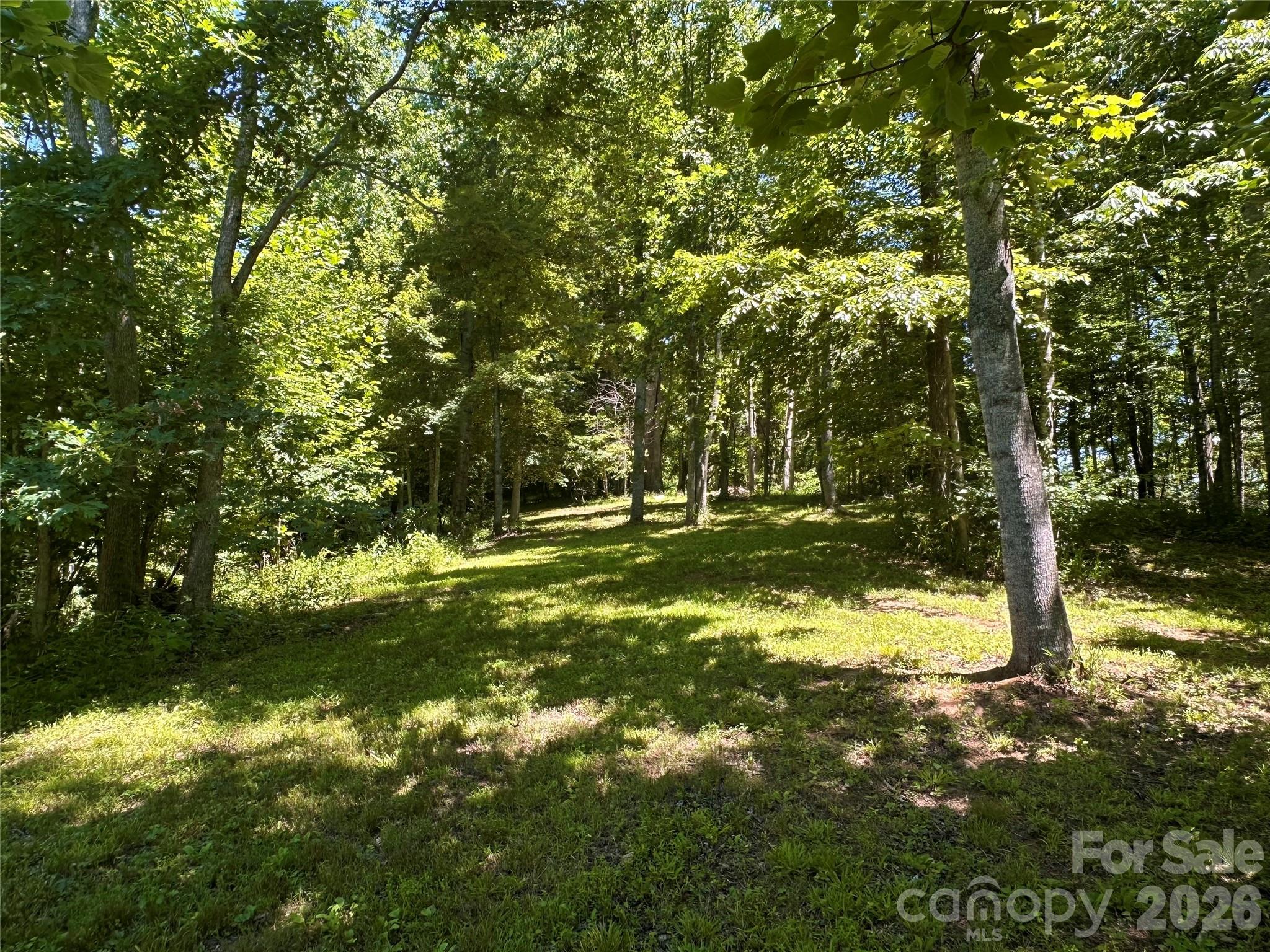 2825 Harrell Hill Road Bakersville, NC 28705 - Photo 41 of 47