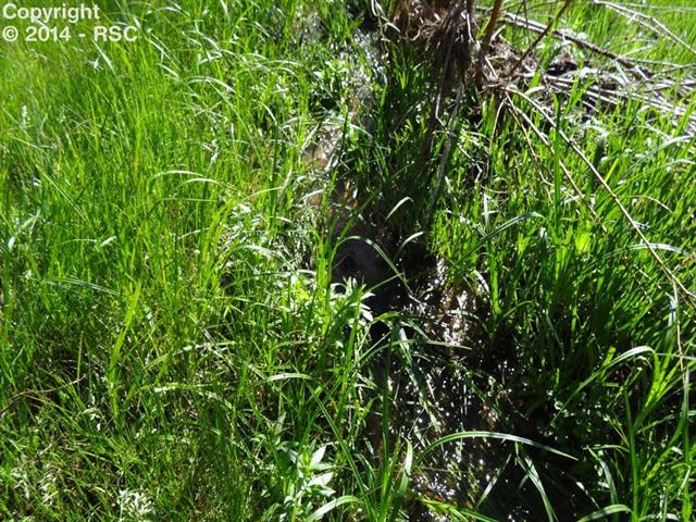 6150 Shoup Road Colorado Springs, CO 80908 - Photo 8 of 25