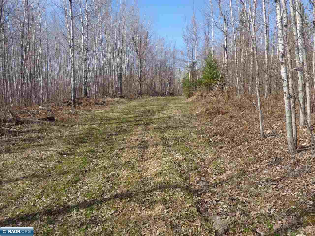 Tbd North Tbd N Buck Lake Road Nashwauk, MN 55769 - Photo 1 of 9