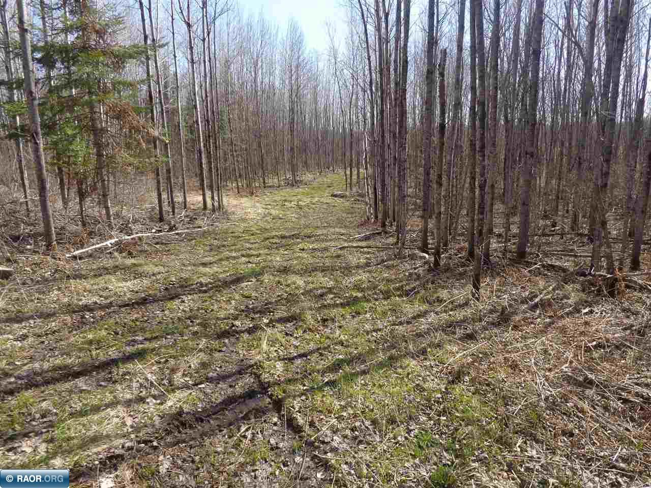 Tbd North Tbd N Buck Lake Road Nashwauk, MN 55769 - Photo 2 of 9
