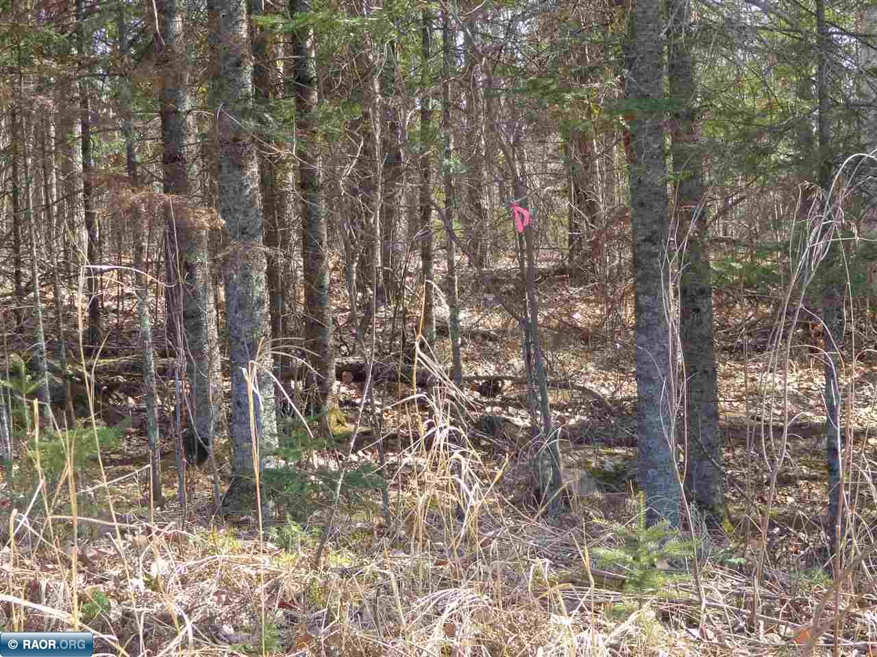 Tbd North Tbd N Buck Lake Road Nashwauk, MN 55769 - Photo 7 of 9
