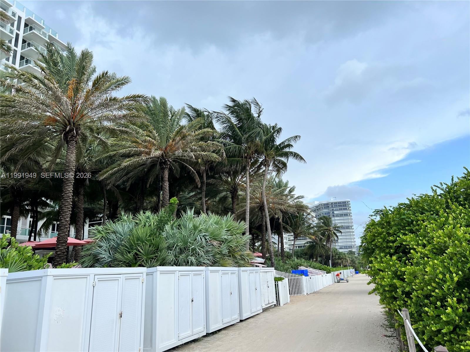 9172 Collins Avenue, Unit 305 Surfside, FL 33154 - Photo 36 of 37 a view of a garden