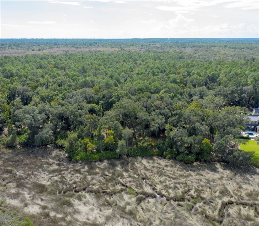 316 Pike's Bluff Drive St. Simons Island, GA 31522 - Photo 6 of 8