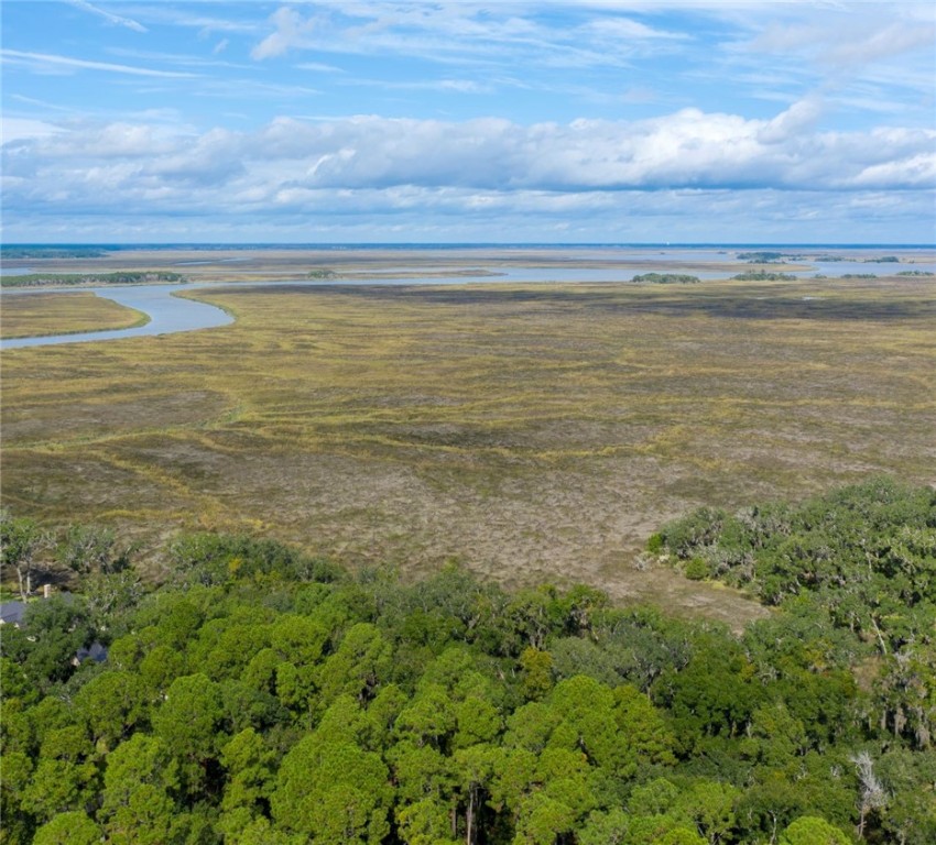 316 Pike's Bluff Drive St. Simons Island, GA 31522 - Photo 7 of 8