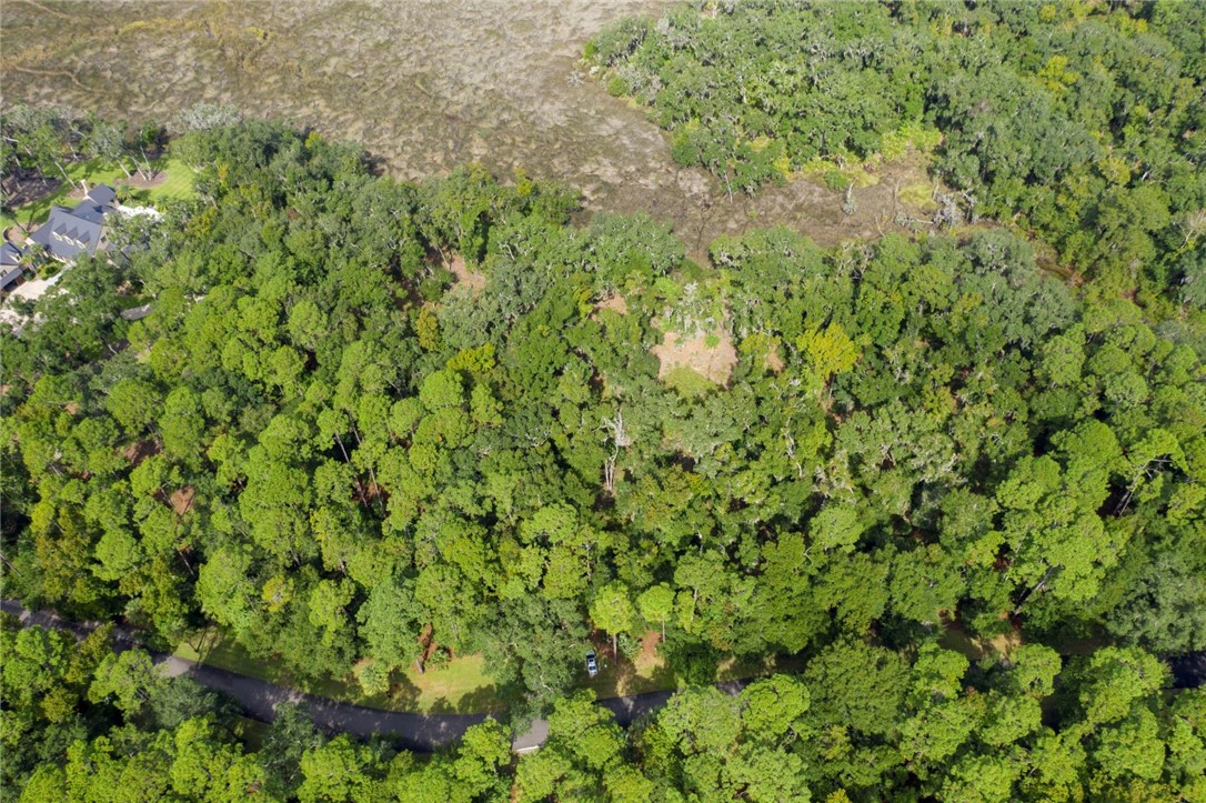 316 Pike's Bluff Drive St. Simons Island, GA 31522 - Photo 8 of 8