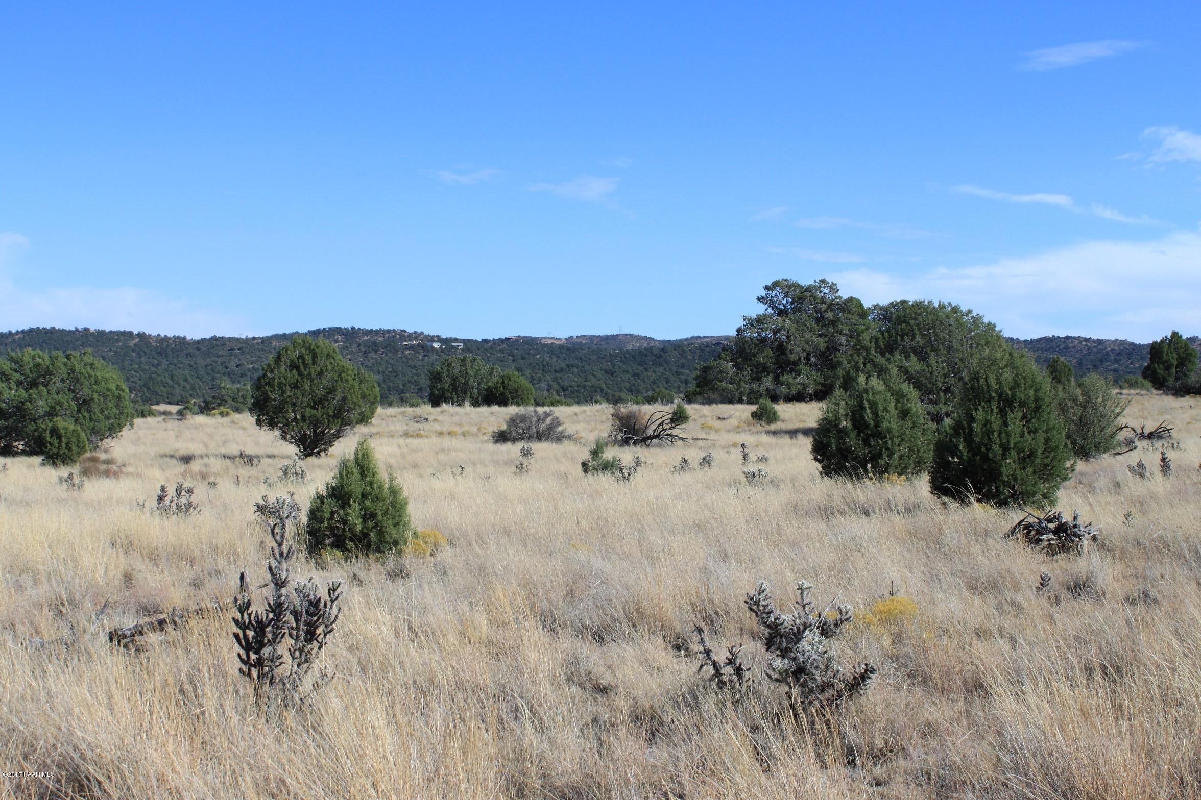 0 North Puntenney Road Prescott, AZ 86305 - Photo 4 of 25 IMG_3623