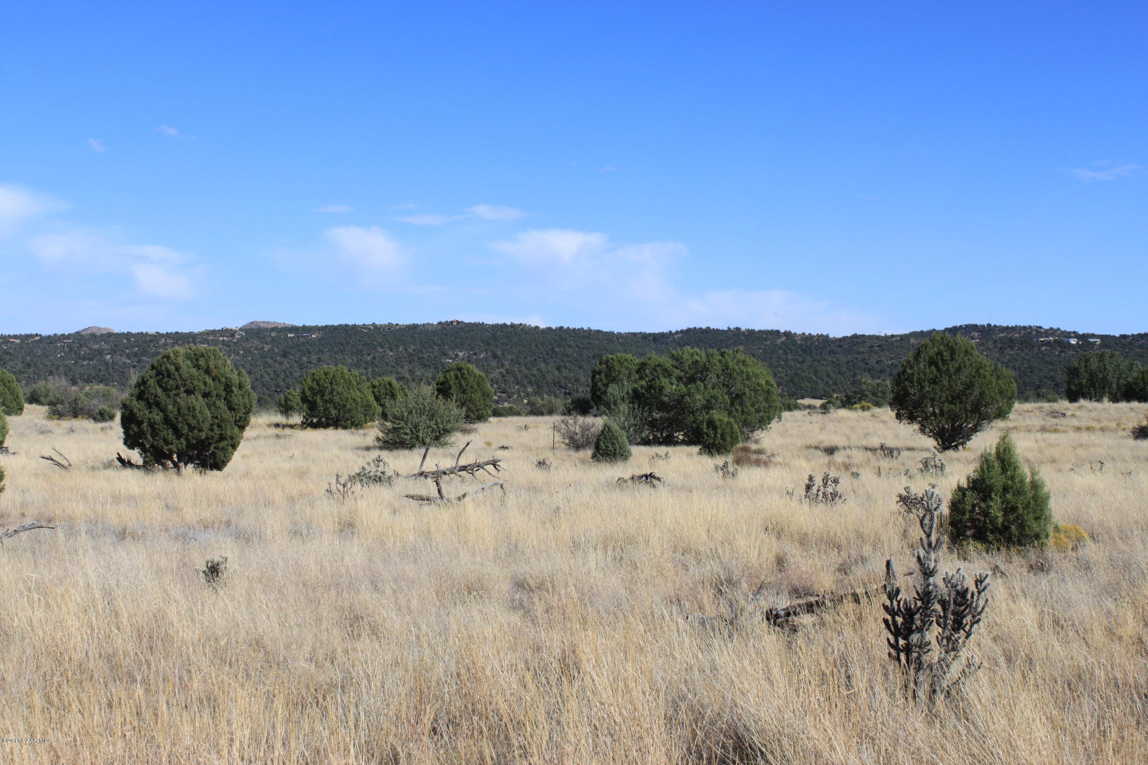 0 North Puntenney Road Prescott, AZ 86305 - Photo 5 of 25 IMG_3624