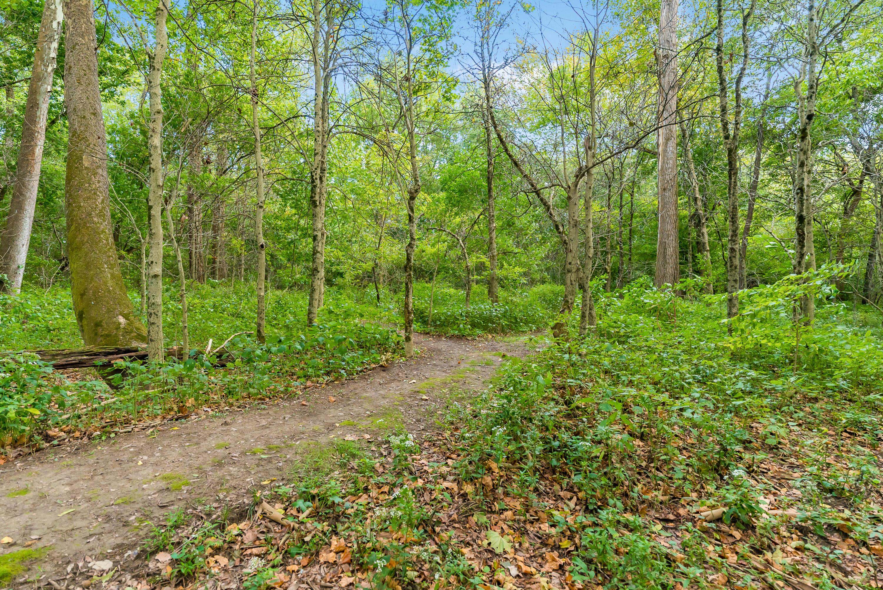 7733 Refugee Road Southwest Etna, OH 43062 - Photo 41 of 42 Walking Trails on Property