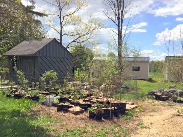 173 Gagnon Road Fairfield, ME 04937 - Photo 20 of 40 Out buildings