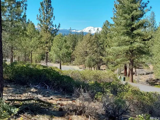 a view of a field with trees