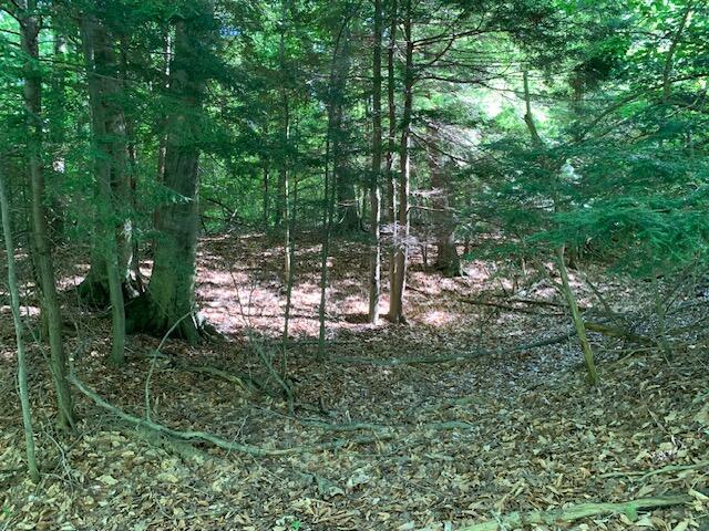 Schoedel Road Manistee, MI 49660 - Photo 1 of 10 schoedel 2