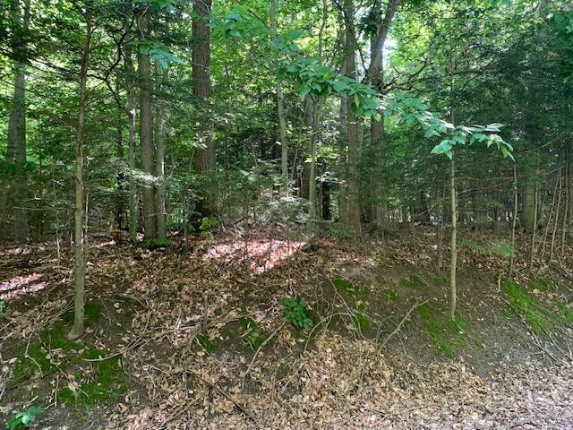 Schoedel Road Manistee, MI 49660 - Photo 2 of 10 schoedel 1