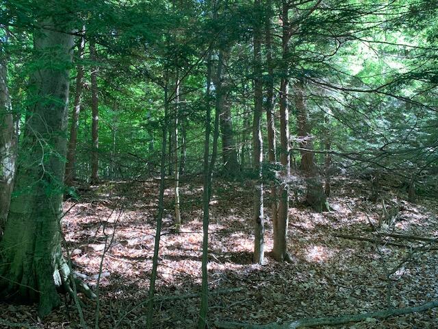 Schoedel Road Manistee, MI 49660 - Photo 3 of 10 schoedel 3