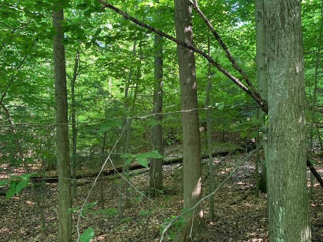 Schoedel Road Manistee, MI 49660 - Photo 6 of 10 schoedel 6