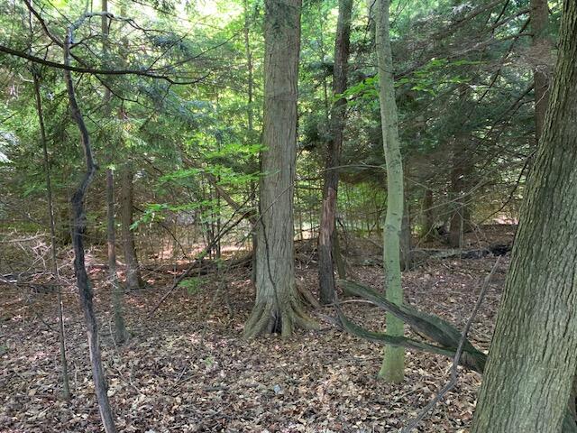 Schoedel Road Manistee, MI 49660 - Photo 9 of 10 schoedel 9