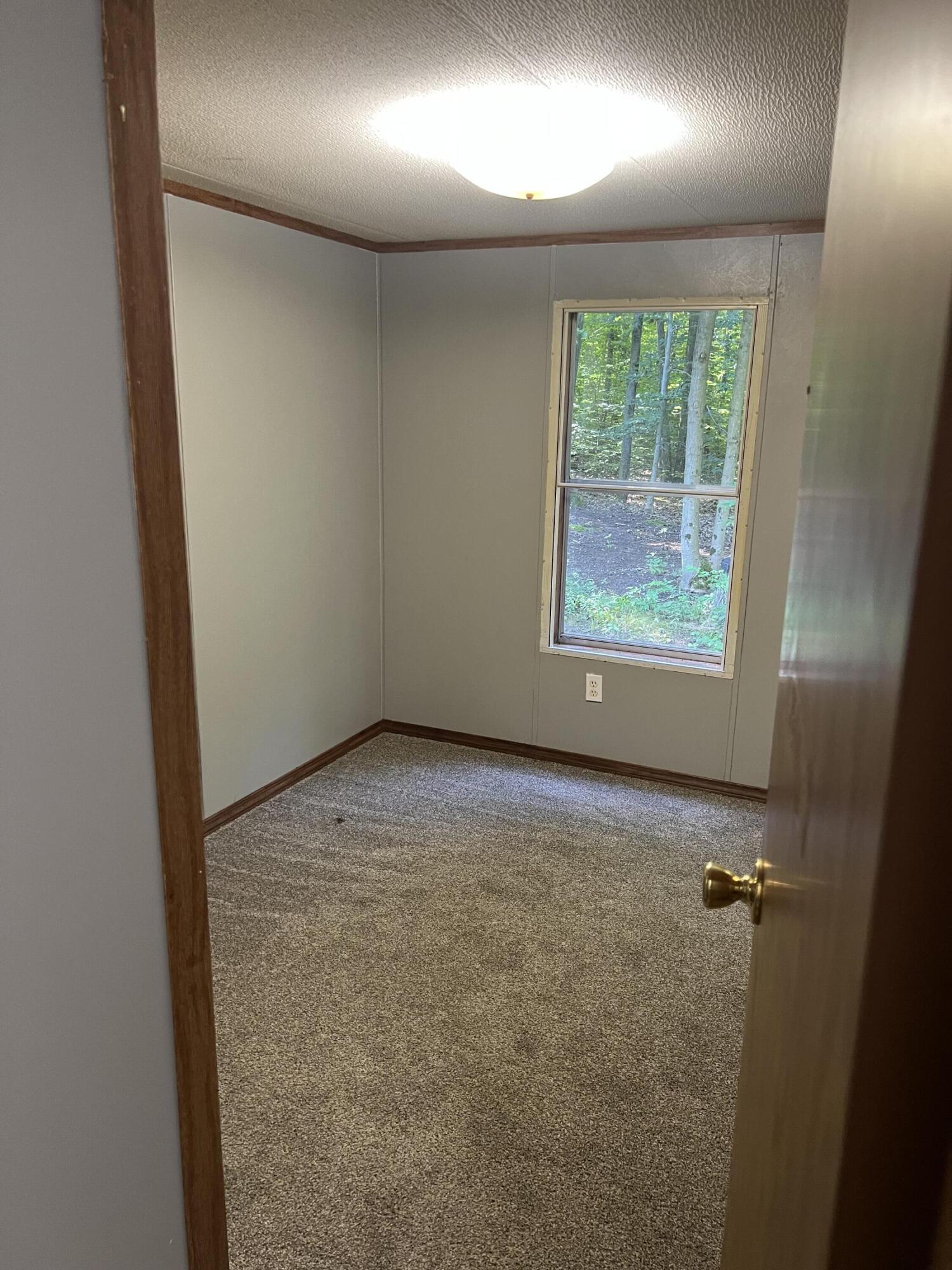 4464 Leckrone Road Brethren, MI 49619 - Photo 12 of 23 IMG_4695