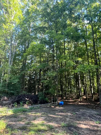 $150,000 | 4464 Leckrone Road, Brethren, MI 49619