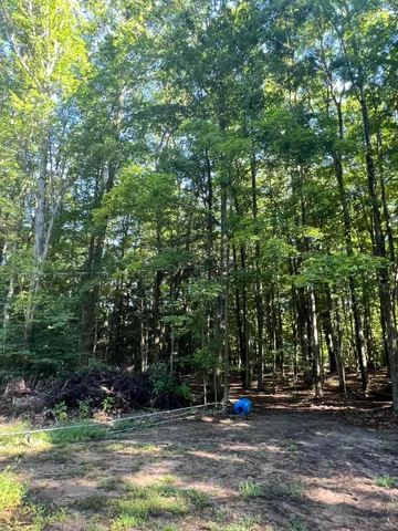 $150,000 | 4464 Leckrone Road, Brethren, MI 49619