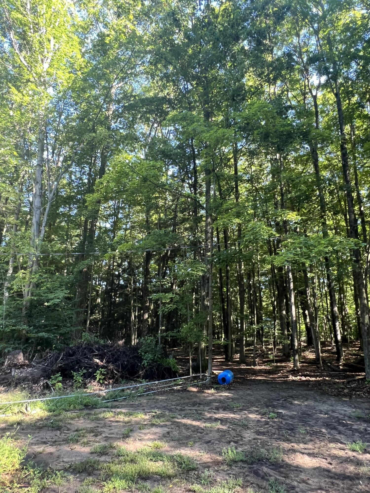 4464 Leckrone Road Brethren, MI 49619 - Photo 18 of 23 IMG_4707