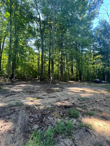 $150,000 | 4464 Leckrone Road, Brethren, MI 49619