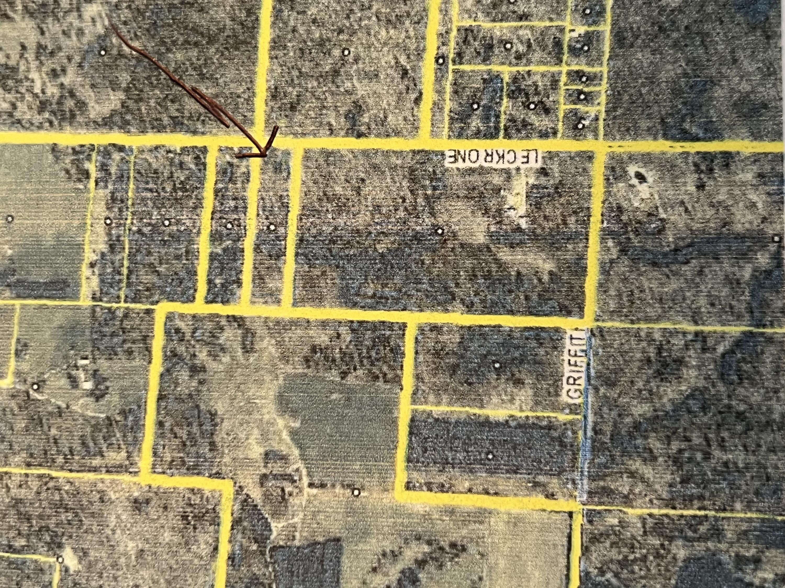 4464 Leckrone Road Brethren, MI 49619 - Photo 22 of 23 IMG_4712