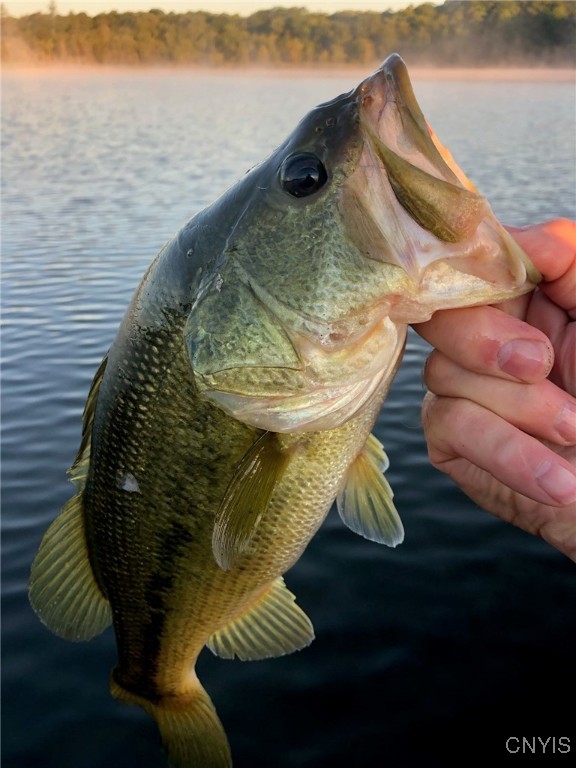 556 West Shore Road Macomb, NY 13646 - Photo 14 of 31