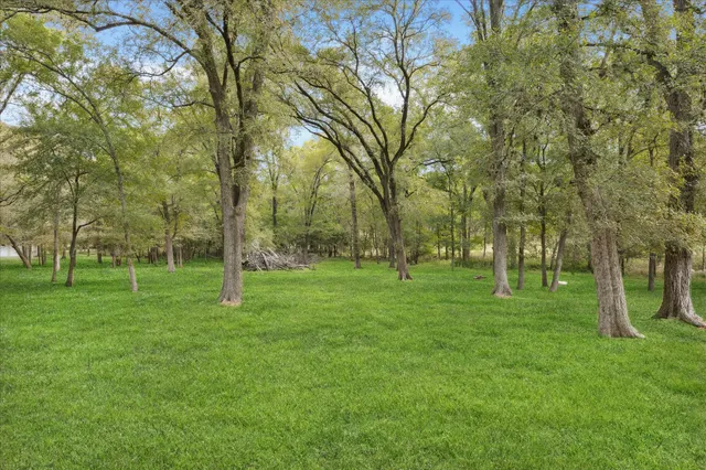 a view of a park with large trees