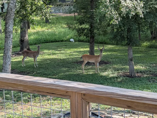 $379,000 | 3477 Bradley Lane, Brenham, TX 77833