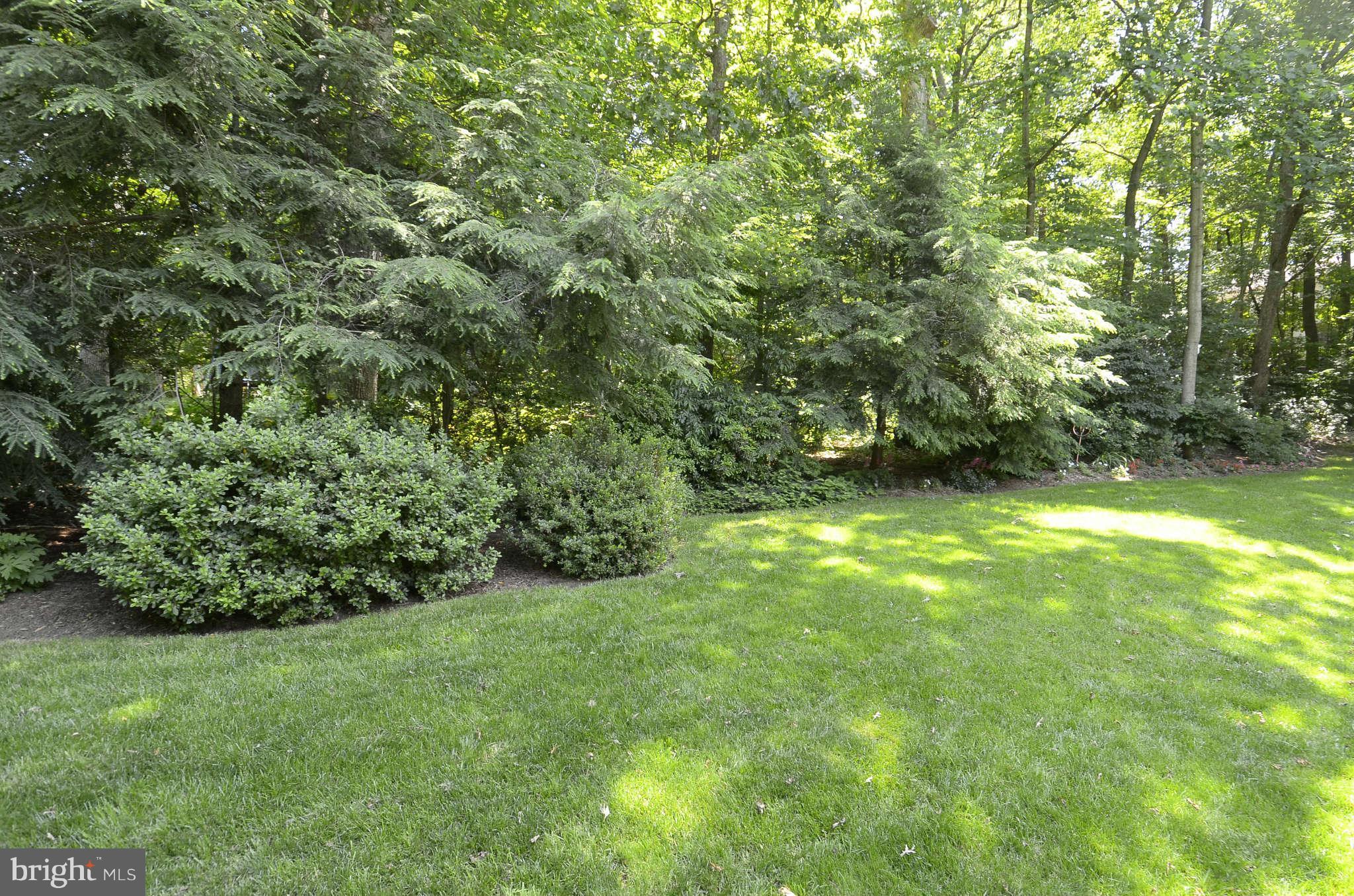 2035 Adams Hill Road Vienna, VA 22182 - Photo 21 of 28 View of Spacious Back Yard