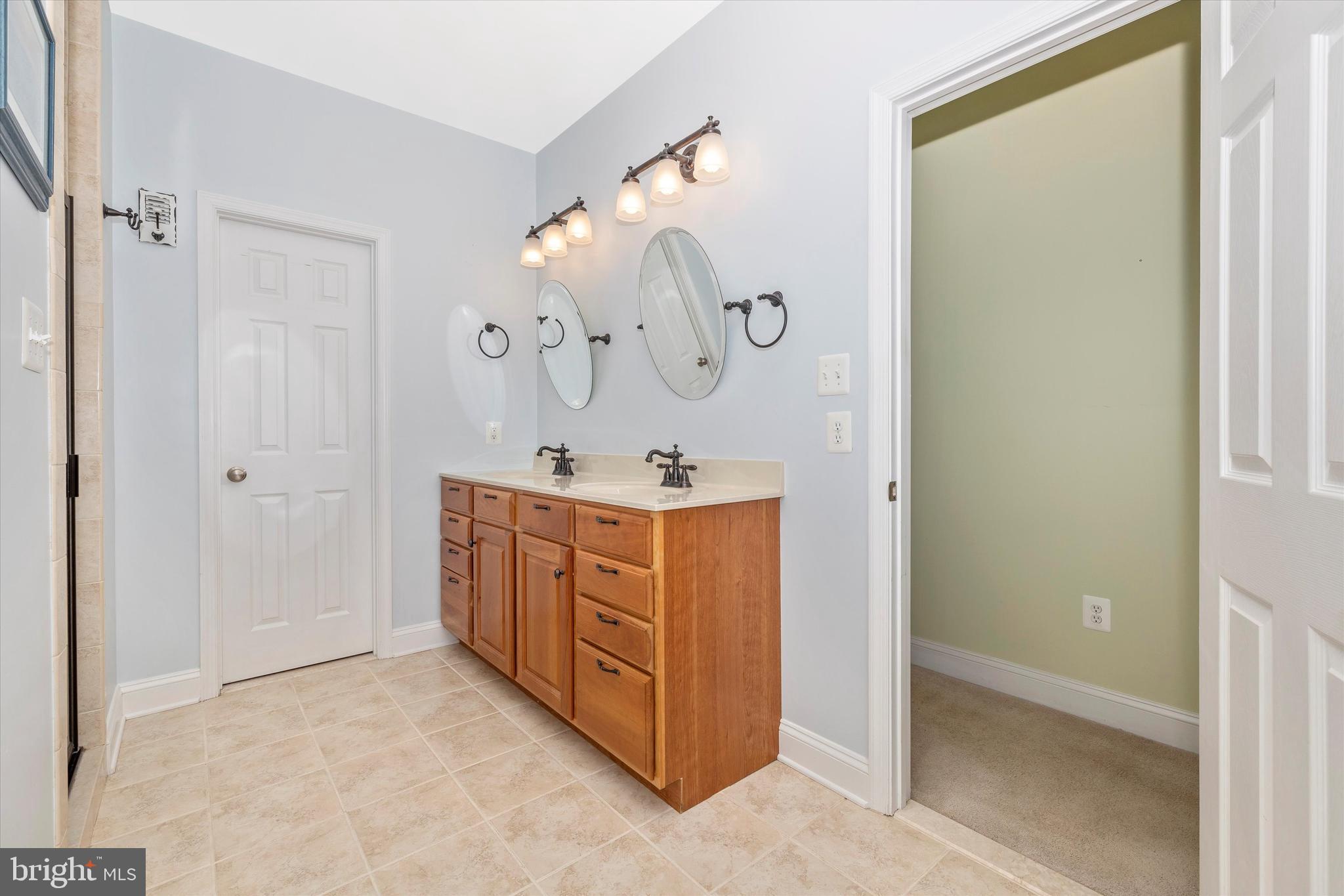 4677 Buffalo Road Mount Airy, MD 21771 - Photo 39 of 84 Double sink and closet space