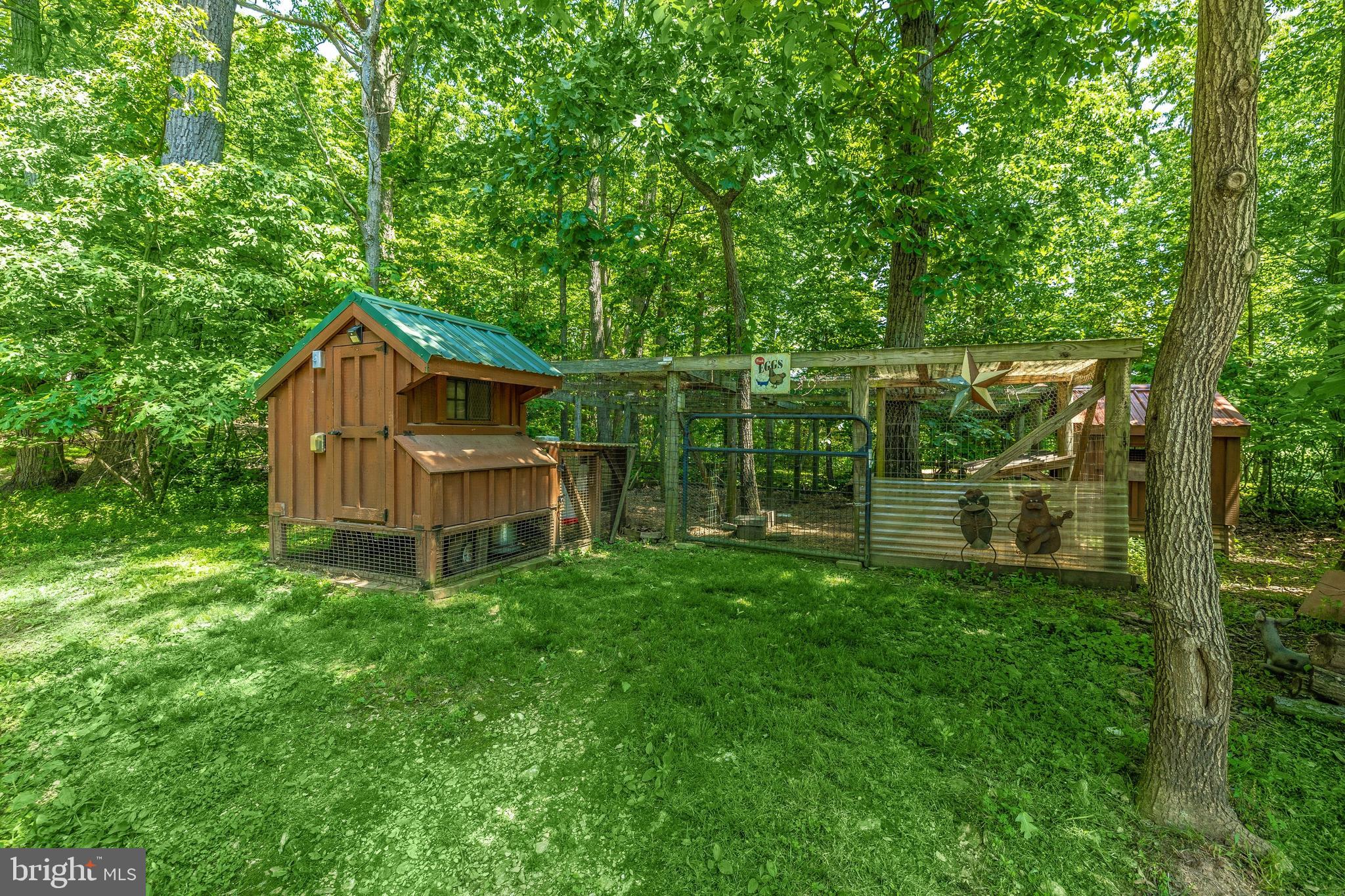 4677 Buffalo Road Mount Airy, MD 21771 - Photo 80 of 84 Adorable chicken coop conveys!