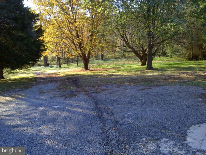 1602 Spruce Grove Road Oxford, PA 19363 - Photo 9 of 11 Front Yard