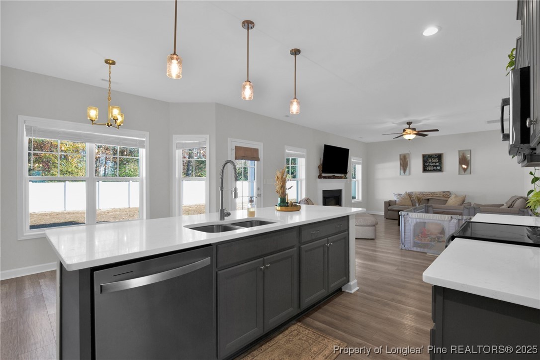 248 Rainy Beck Way Erwin, NC 28339 - Photo 15 of 44 a kitchen with counter space sink and appliances