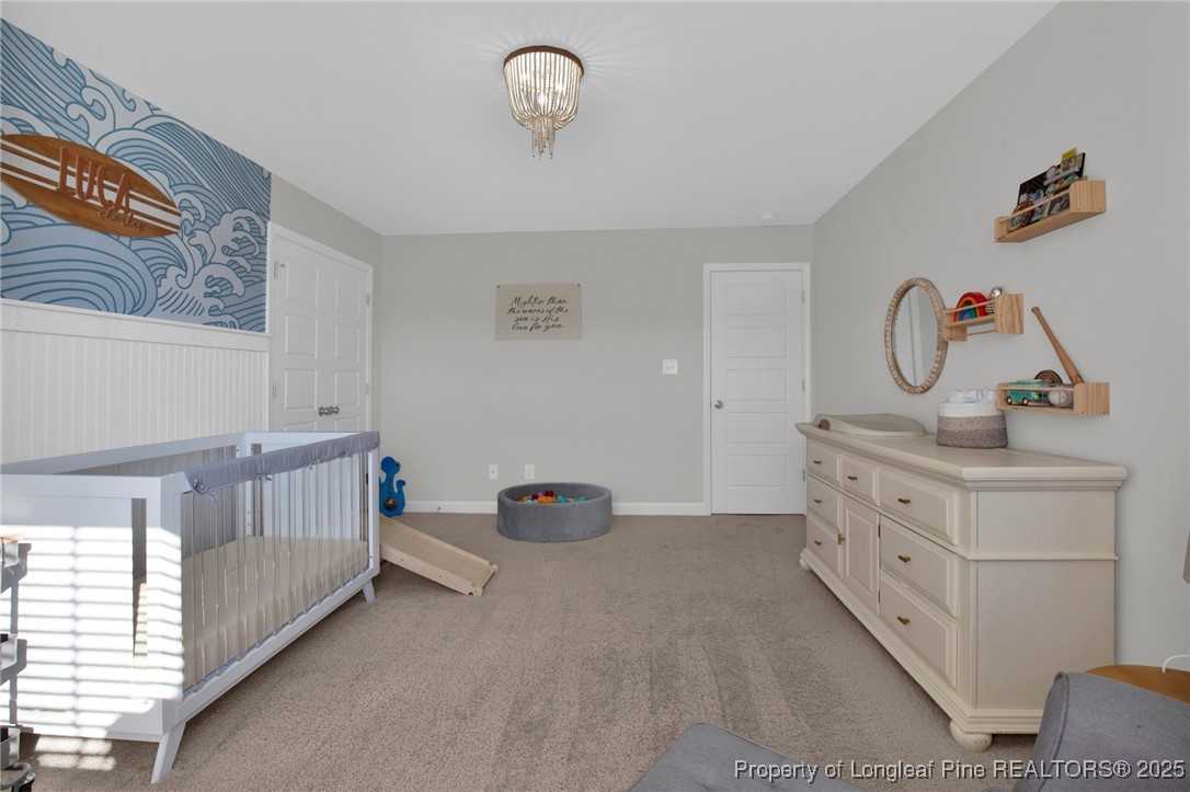 248 Rainy Beck Way Erwin, NC 28339 - Photo 27 of 44