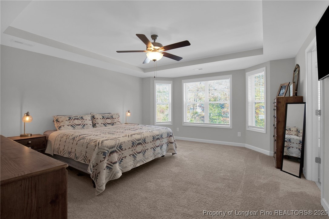248 Rainy Beck Way Erwin, NC 28339 - Photo 31 of 44 a bedroom with bed and window