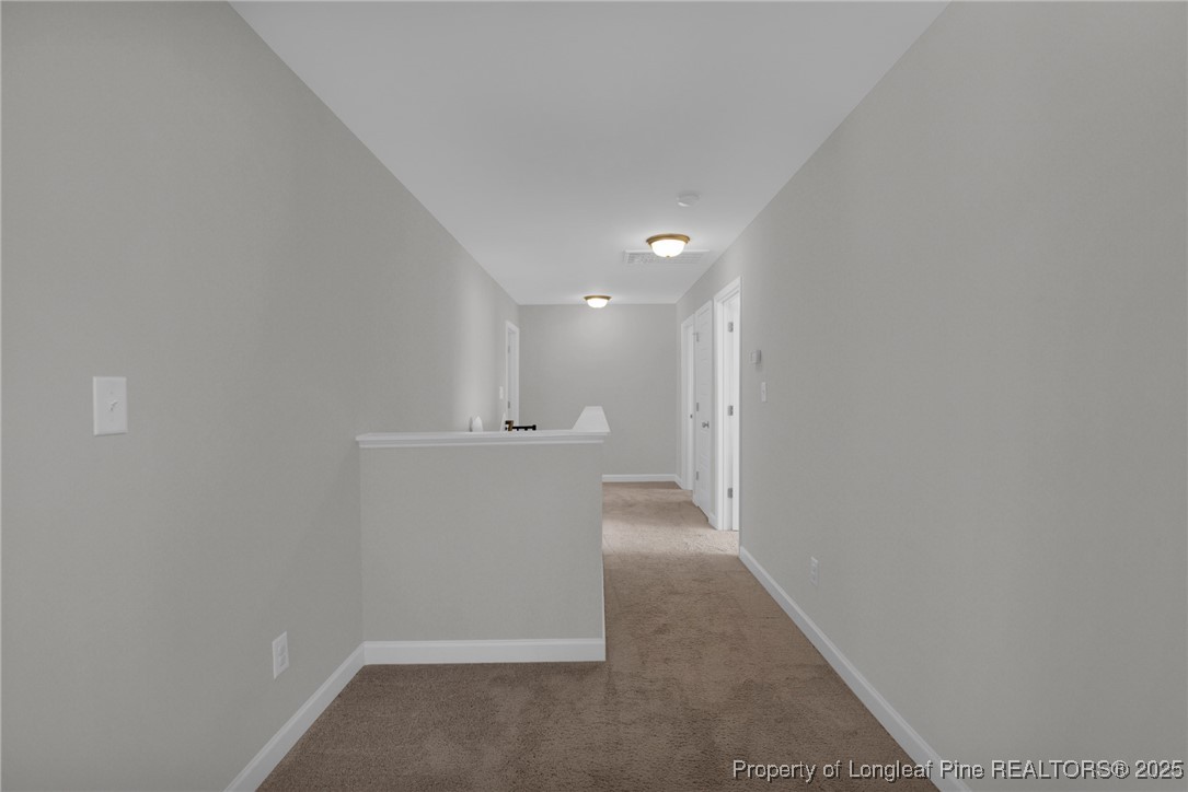 248 Rainy Beck Way Erwin, NC 28339 - Photo 37 of 44 a view of a hallway