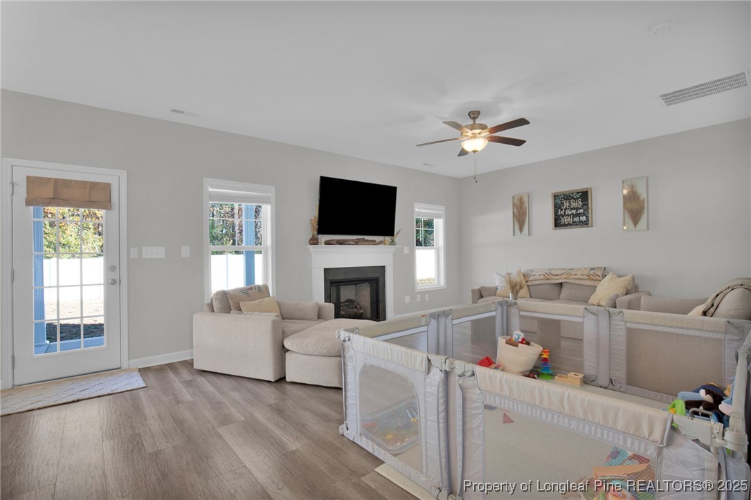 248 Rainy Beck Way Erwin, NC 28339 - Photo 7 of 44 a living room with furniture a fireplace and a flat screen tv