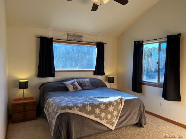 1257 Chippewa Road Jefferson, CO 80456 - Photo 19 of 32