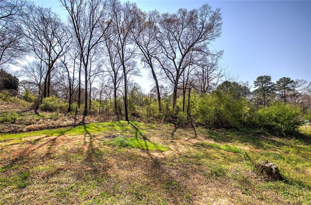 516 Baxter Road Southeast Calhoun, GA 30701 - Photo 39 of 47 a view of backyard with large trees